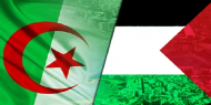 بالفيديو.. الجزائر تواصل جهودها لتحقيق المصالحة الفلسطينية