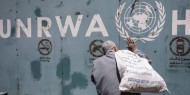 "المشتركة للاجئين" تدعو المجتمع الدولي لتحمل مسؤولياته ودعم موازنة "أونروا"