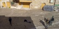 «محدث» بالفيديو.. الاحتلال يعتقل سيدة بعد الاعتداء عليها بالقرب من الحرم الإبراهيمي