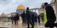 دعوات «إسرائيلية» لاقتحام جماعي للمسجد الأقصى بدءًا من الغد