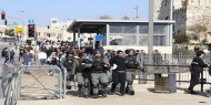 بالفيديو.. 31 إصابة خلال مواجهات مع الاحتلال في باب العامود بالقدس