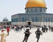 الخارجية الأردنية تدين السماح لمتطرفين وأعضاء الكنيست باقتحام المسجد الأقصى