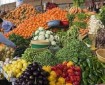 أسعار المنتجات الزراعية في غزة اليوم الإثنين