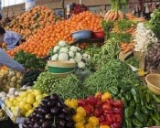 أسعار المنتجات الزراعية في غزة اليوم الإثنين