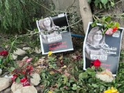 حجار: لا أحد يستطيع منع نظر «الجنائية الدولية» في قضية اغتيال الشهيدة أبو عاقلة