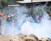 مصاب بالرصاص و10 بالاختناق خلال قمع الاحتلال مسيرة بيت دجن الأسبوعية