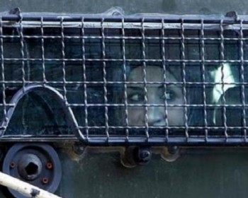 نادي الأسير: 5 أمهات من بين 29 أسيرة في سجون الاحتلال