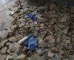 وفاة 22 شخصا في تفش للكوليرا في أعقاب الزلزال بسوريا