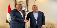 وزير خارجية تركيا يزور مصر السبت لأول مرة منذ عقد