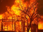 ولاية تكساس الأمريكية تعلن حالة الكارثة وسط انتشار حرائق الغابات