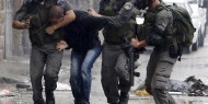 الاحتلال يعتقل 20 مواطنا من عدة مناطق بالضفة