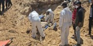 الاتحاد الأوروبي يطالب بتحقيق بعد اكتشاف مقابر جماعية في مستشفيي الشفاء وناصر