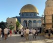 200مستوطن يقتحمون المسجد الأقصى بسابع أيام عيد الفصح العبري